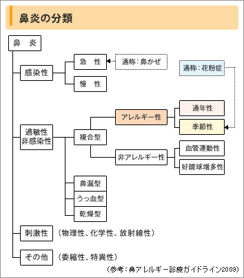鼻炎の分類